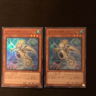 シーアーカイバー