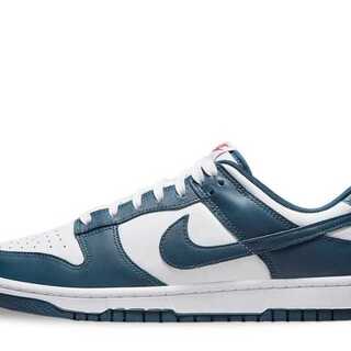 Nike Dunk Low "Valerian Snubbull" 27.5cm