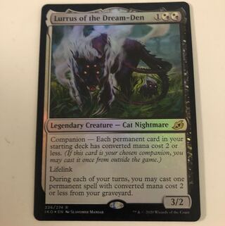 foil(英) 夢の巣のルールス