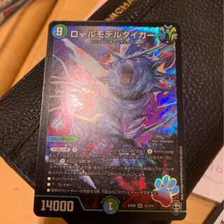 ロールモデルタイガー