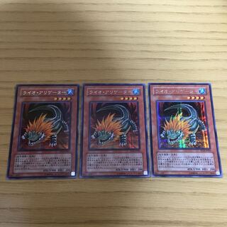 ライオ・アリゲーター