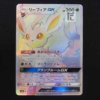 リーフィアGX【ニア】HR/管理:MP8799