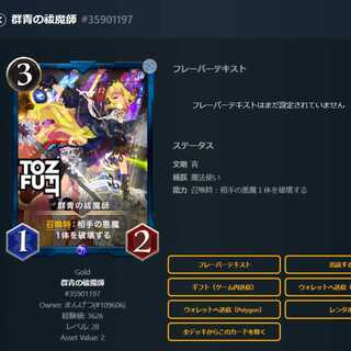 Gunsei no Exorcist x2 card set