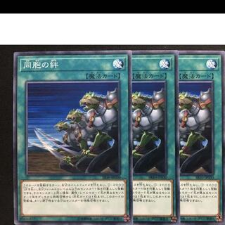 同胞の絆　ノーマル　三枚