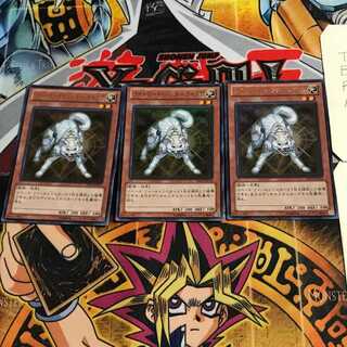 Ryko, Lightsworn Hunter 1 Ultra, set of 3 Tera.