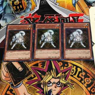 Ryko, Lightsworn Hunter 2 Ultra, set of 3 Tera