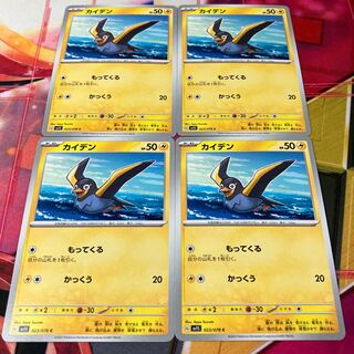 カイデン C 023/078