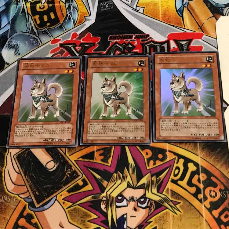 柴戦士タロ 6 ウルトラ 3枚セット てら