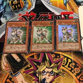 柴戦士タロ 6 ウルトラ 3枚セット てら