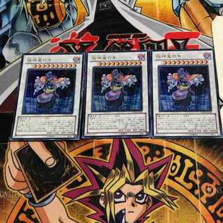 極神皇ロキ 3 ウルトラ 3枚セット てら