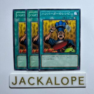 10897 ハンバーガーのレシピ ノーマル DBWS-JP042