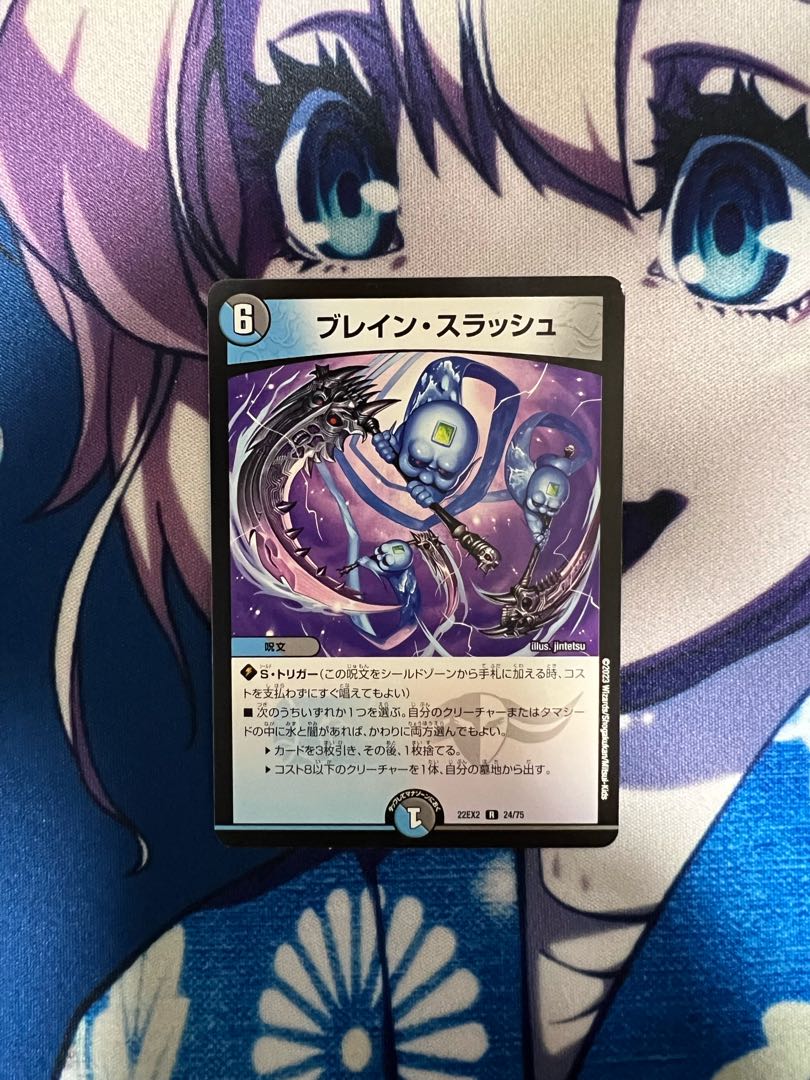 ブレイン・スラッシュ R 24/75