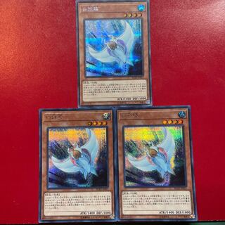 遊戯王 白棘鱏 【RC03】シークレット ３枚セット