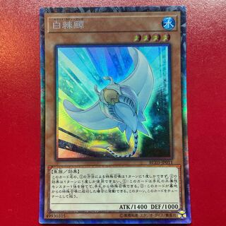 遊戯王 白棘鱏 【RC03】コレクターズ