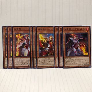 焔聖騎士　各3枚　モージ　オリヴィエ　アストルフォ　マホ子