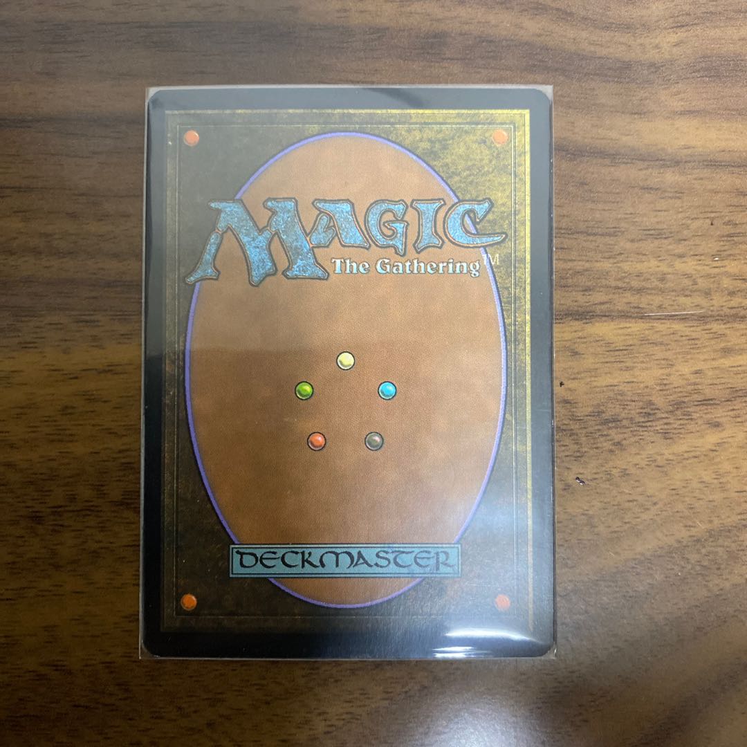 スフィンクスの啓示　日本語 1枚