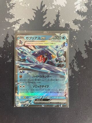 ガブリアスex RR 006/062