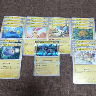 レイジングサーフ　雷　ゼクロム　デンチュラ　ランターン　プラスル　マイナン