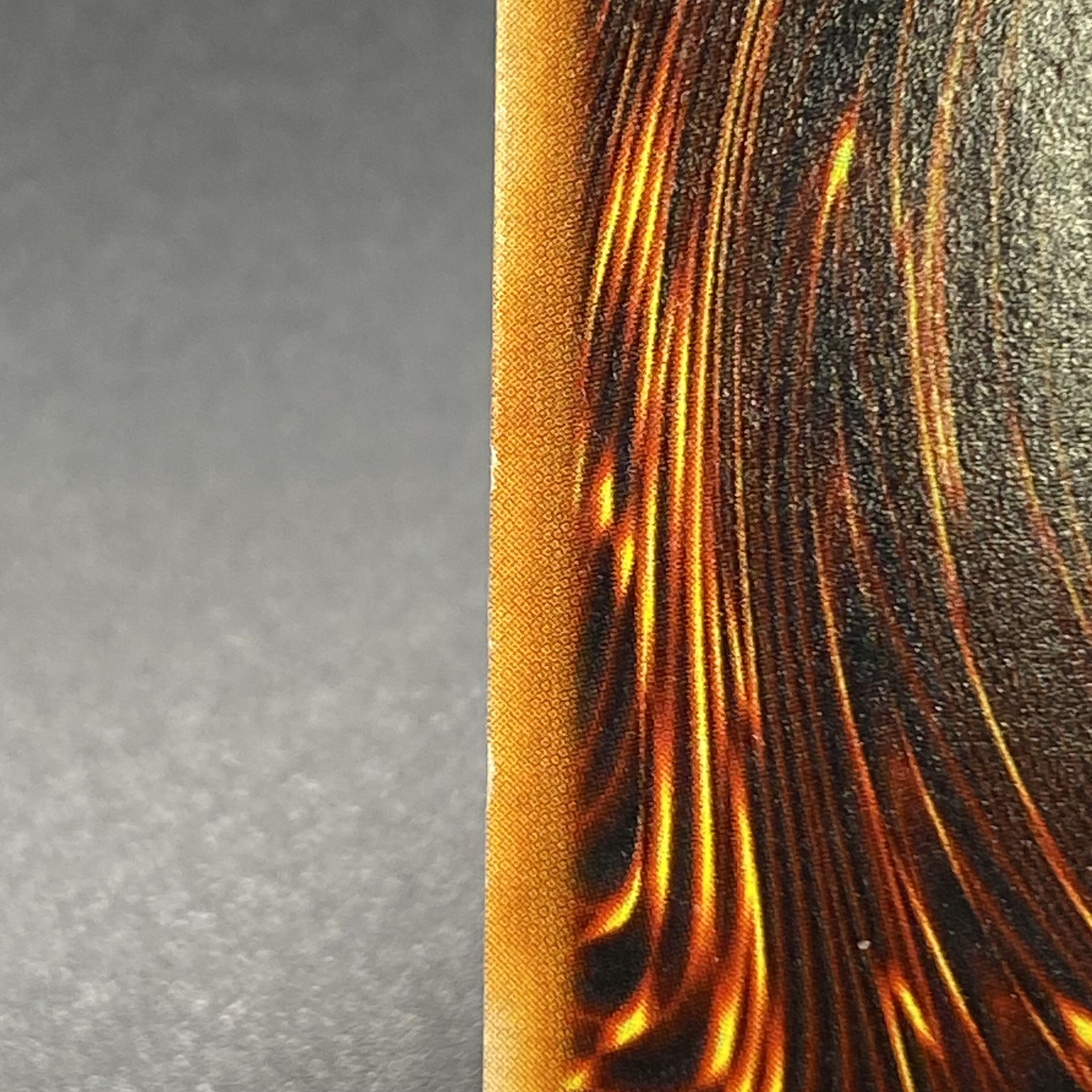 千年原人 ウルトラレア 初期