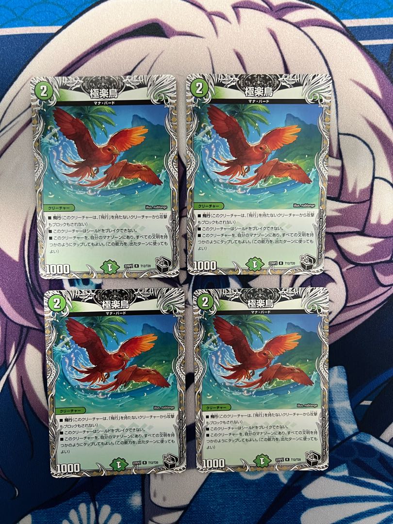 極楽鳥(黒トレジャー) R T12/T20