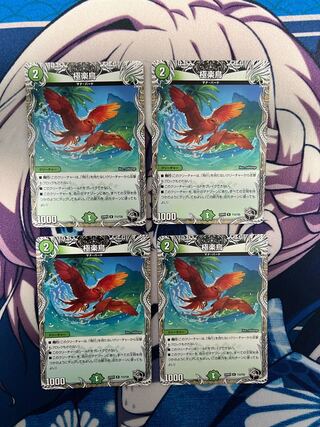 極楽鳥(黒トレジャー) R T12/T20