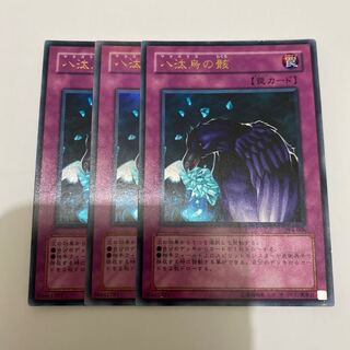 Wreckage of eight culled birds UR