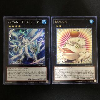 バハムート・シャーク　スーパー　餅カエル　レア　1枚ずつ