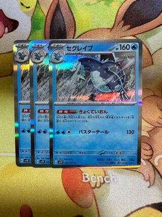 セグレイブ R 027/071