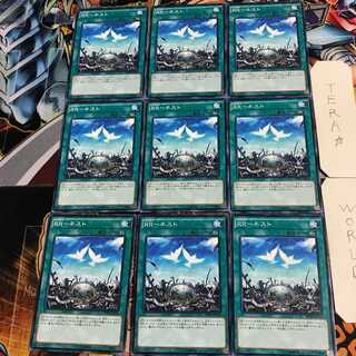 RR-ネスト 1 ノーマル 9枚セット てら