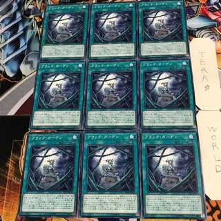 ブラック・ガーデン 3 ノーマル 9枚セット てら