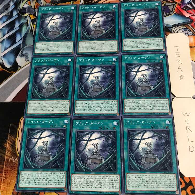 ブラック・ガーデン 5 ノーマル 9枚セット てら
