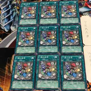 一族の結束 2 ノーマル 9枚セット てら