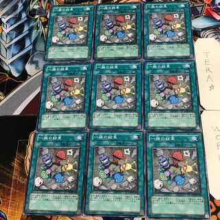 一族の結束 4 ノーマル 9枚セット てら