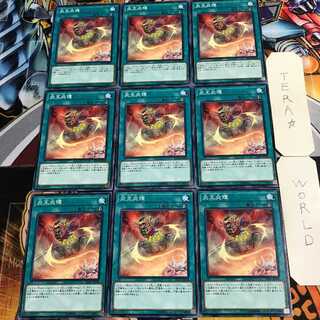 炎王炎環 5 ノーマル 9枚セット てら