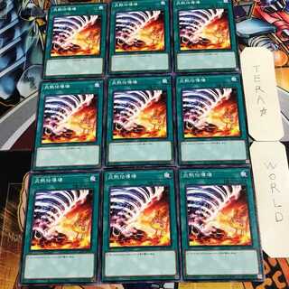 炎熱伝導場 2 ノーマル 9枚セット てら