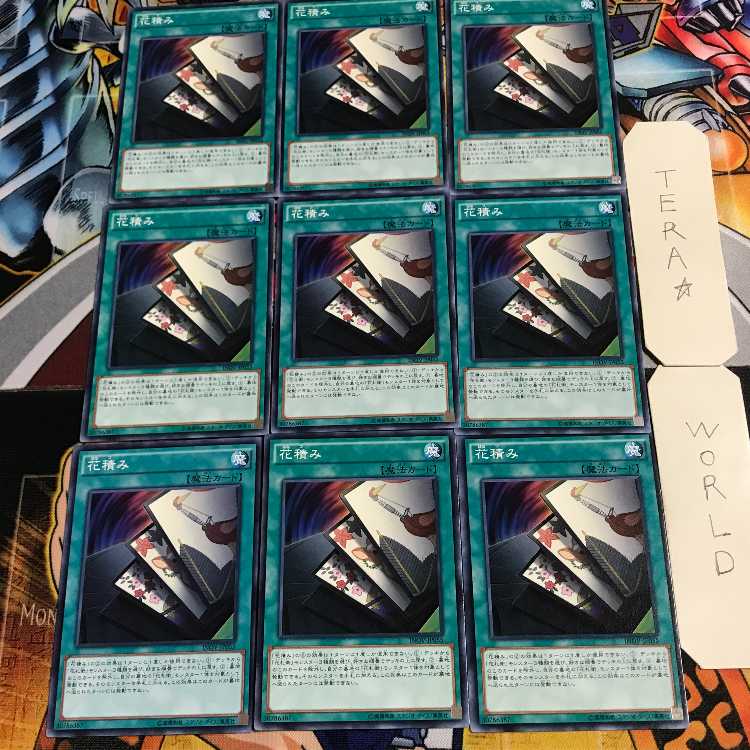 Flower Stacking 2 Normal, set of 9 Tera 9枚