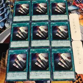 Flower Stacking 2 Normal, set of 9 Tera 9枚