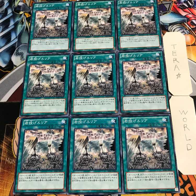 岩投げエリア 3 ノーマル 9枚セット てら