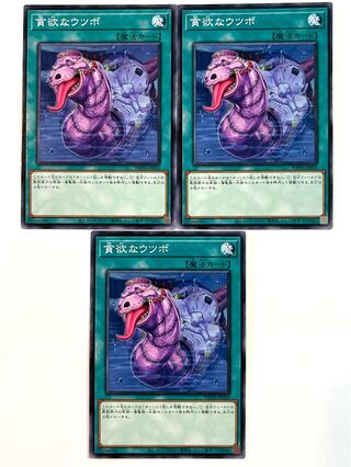 貪欲なウツボ【ノーマル】JP059