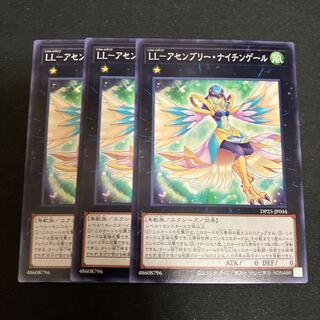 LL-Assembly Nightingale Normal JP044