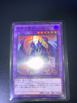 共命の翼ガルーラ