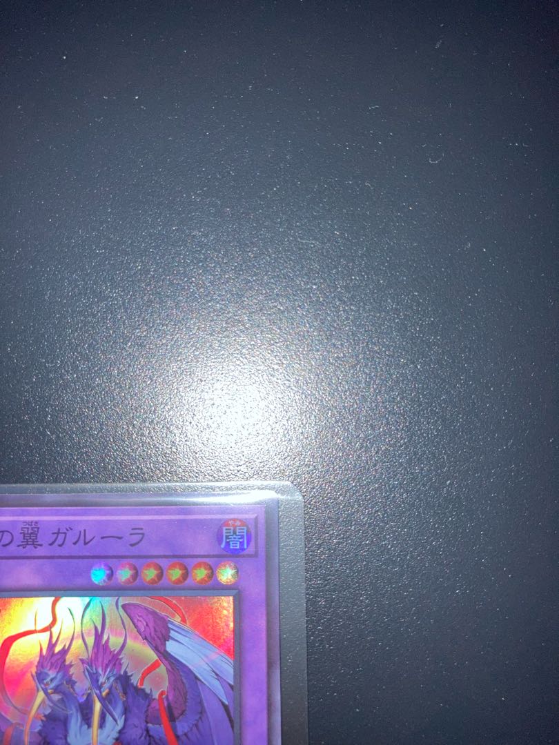 共命の翼ガルーラ