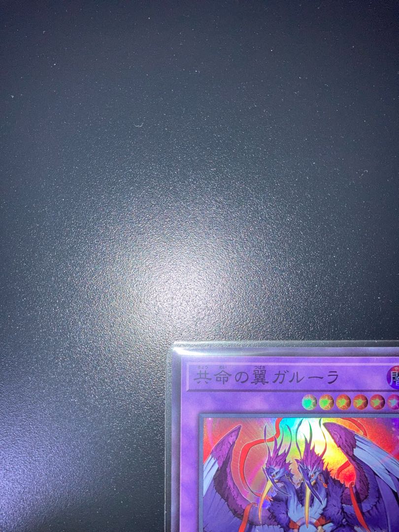 共命の翼ガルーラ