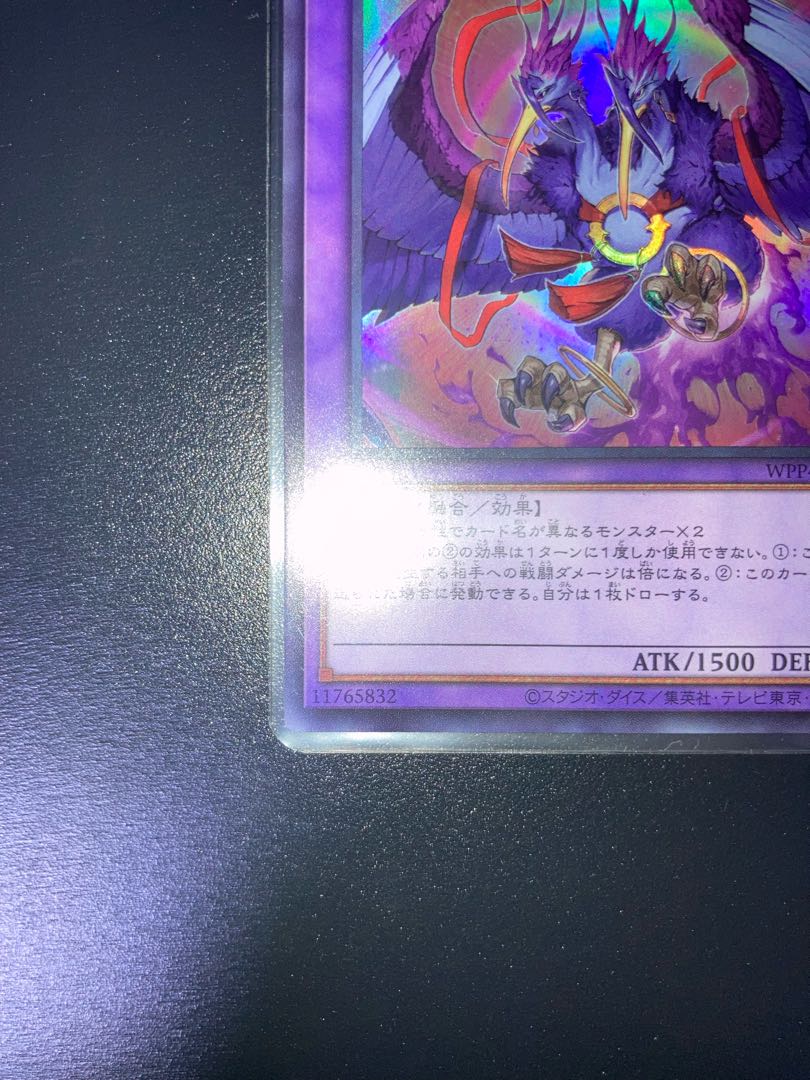 共命の翼ガルーラ