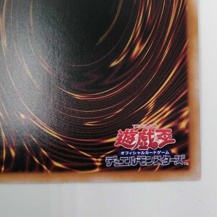 ポワソニエル・ド・ヌーベルズ AGOV-JPO19 【25thシークレット】