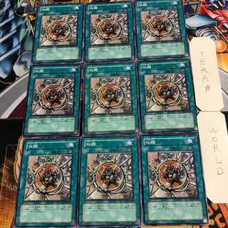 収縮 2 ノーマル 9枚セット てら