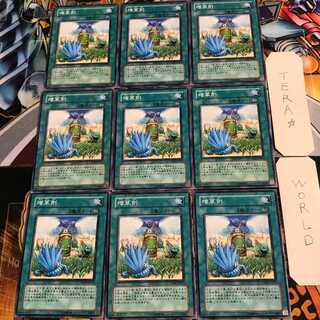 増草剤 1 ノーマル 9枚セット てら