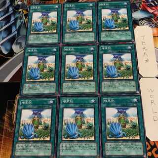 増草剤 2 ノーマル 9枚セット てら