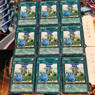 増草剤 3 ノーマル 9枚セット てら