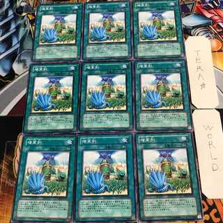 増草剤 5 ノーマル 9枚セット てら